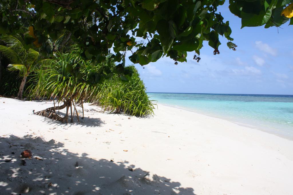 Plumeria Maldives Thinadhoo  Exterior photo